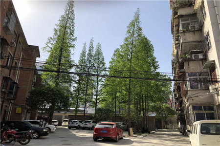 一实小实验中学东岳广场2室2厅1卫59万90m2出售